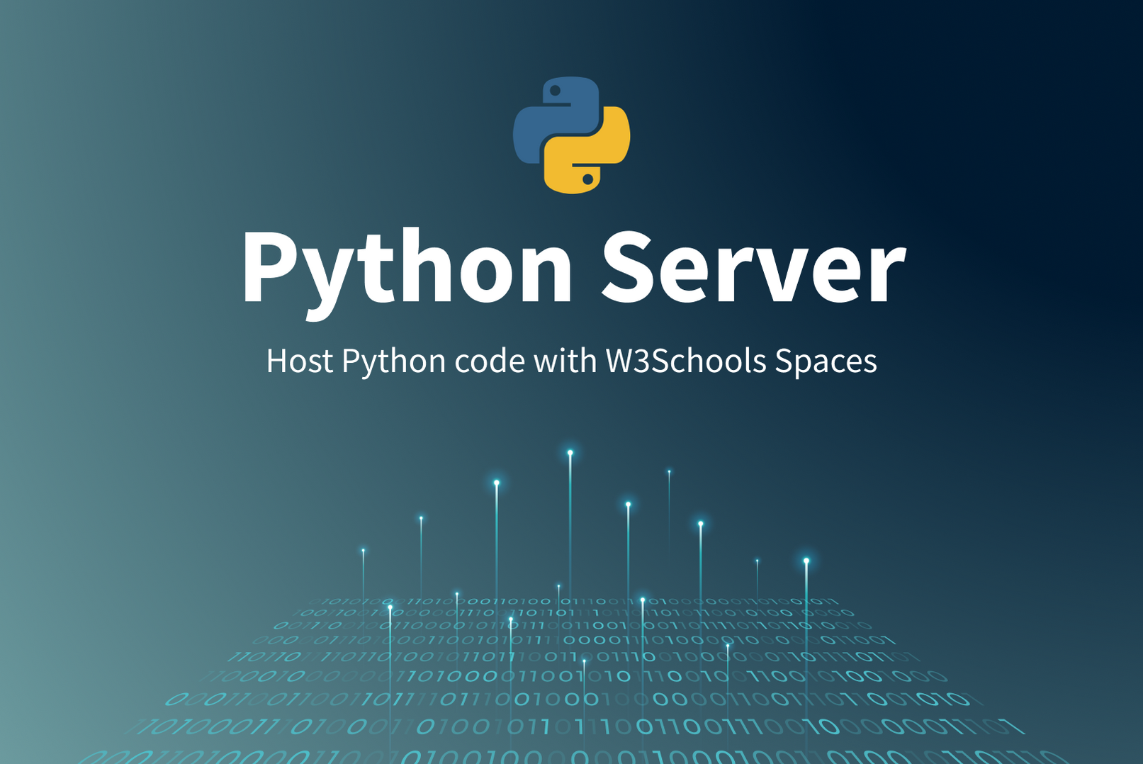 Career Paths — W3Schools.com image.