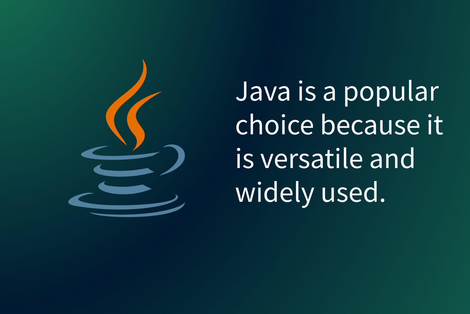 Why Java?